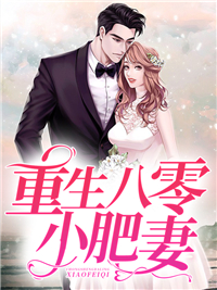 重生八零小肥妻黄点点沈翰林免费阅读 重生八零小肥妻百万