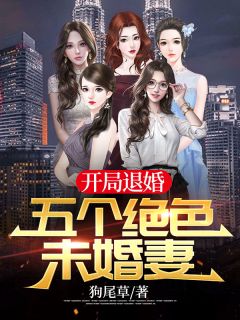 开局退婚:五个绝色未婚妻