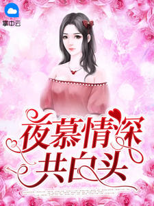 《夜慕情深共白头》免费阅读 慕晴夜君博小说免费试读