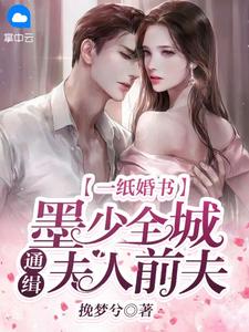 一纸婚书:墨少全城通缉夫人前夫