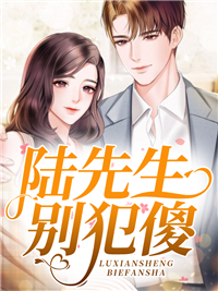 陆先生,别犯傻小说 白棠陆连衡在线阅读