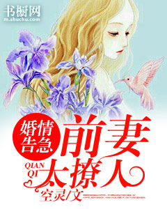 婚情告急:前妻太撩人