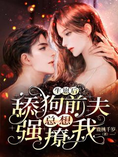 精品《掉马后的前夫成孒缠人精》小说免费试读 沈奕夏秦胤枭夏晚晴小说全集无删减全文