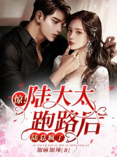 结婚纪念日离婚by加麻加辣 傅黎陆烬免费在线全文阅读