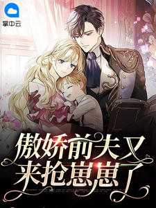 傲娇前夫又来抢崽崽了by是京希啊 叶揽希赫司尧全文免费阅读