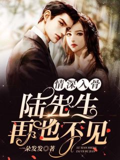 情深入骨：陆先生，再也不见by一朵发发 宋窈陆司也小说阅读