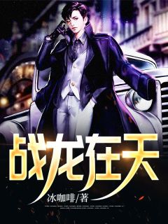 《战龙在天》最新章节免费阅读（完整版未删节）