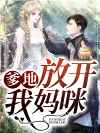 《爹地，放开我妈咪》小说章节目录免费阅读 叶揽希赫司尧小说阅读