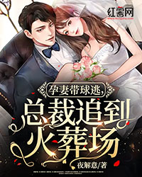 孕妻带球逃,总裁追到火葬场云若锦沈霆修小说全文阅读