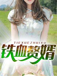 九天神婿萧辰(萧辰吴梦梦)全文完结在线阅读完整版