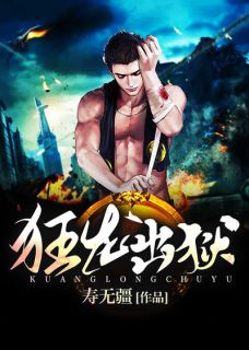 《零号监狱》叶风金缕衣章节目录精彩阅读