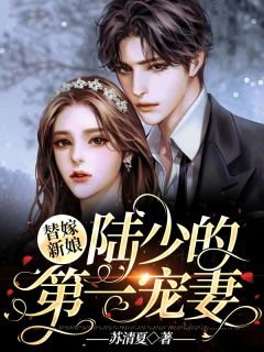 替嫁新娘:陆少的第一宠妻