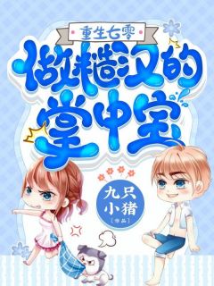 林九棉夏东路by九只小猪 重生七零：做糙汉的掌中宝小说全本