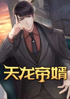 天龙帝婿小说完整版在线阅读(主角陈天龙妞妞)