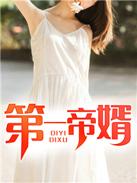 陆尘夏子衿小说 陆尘夏子衿第一帝婿免费阅读