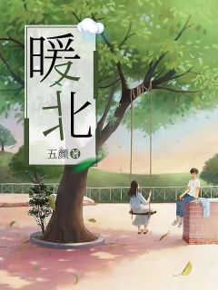 暖北完整小说目录在线阅读 (佟言周南川) 大结局无弹窗