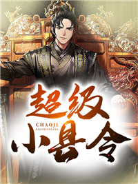 超级小县令李天张龙全本小说免费阅读