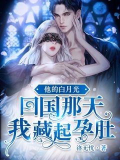 沈云雾秦夜by洛无忧 他的白月光回国那天,我藏起孕肚在线阅读