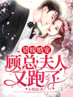 错嫁婚宠:顾总,夫人又跑了