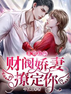婚后诱哄:腹黑财阀宠妻上瘾