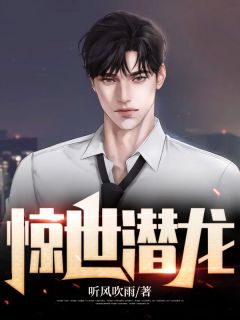 惊世潜龙by听风吹雨 林川苏曼在线阅读