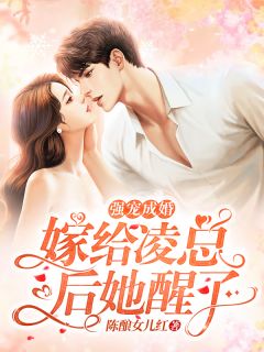 强宠成婚:嫁给凌总后她醒了