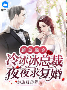 膝盖跪穿,冷冰冰总裁夜夜求复婚