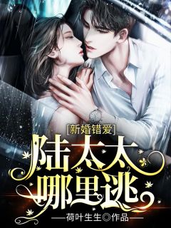 主角是沈初梨陆宗珹的小说 《新婚错爱：陆太太哪里逃》 全文在线试读