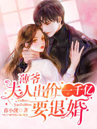 薄爷,夫人出价一千亿要退婚小说免费阅读 叶凝薄寒年小说大结局免费试读