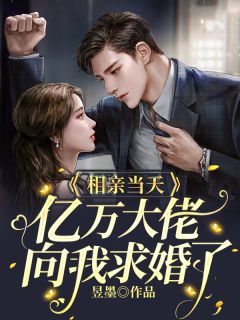 《相亲当天，亿万大佬向我求婚了》小说全文免费阅读 鹿溪商礼小说阅读