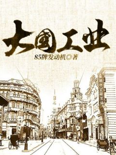 《大国工业》小说章节列表免费阅读 秦远山秦振华小说全文