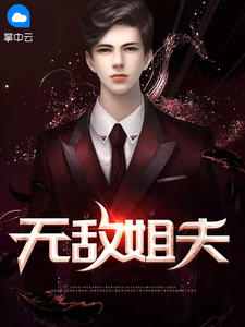 无敌姐夫章节 无敌姐夫小说目录阅读