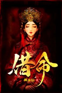 精彩章节《借命》陆平叶宁全文免费阅读