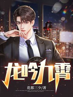 龙吟九霄叶飞叶小莺全本小说免费阅读