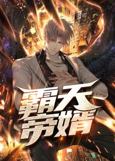 霸天帝婿by帝九 徐南红妆阅读全文