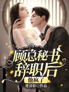 《顾总秘书辞职后，他疯了》全文及大结局精彩试读 叶星辞顾凛寒小说