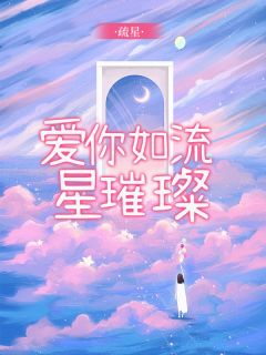 《爱你如流星璀璨》(祁星晟斐然)小说阅读by疏星