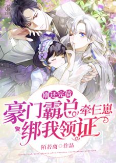 刚还完债，豪门霸总牵仨崽绑我领证(赵净谢其)全文完结在线阅读完整版