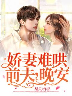 娇妻难哄:前夫,晚安!by秦茶商诀精彩章节 秦茶商诀小说全集免费试读