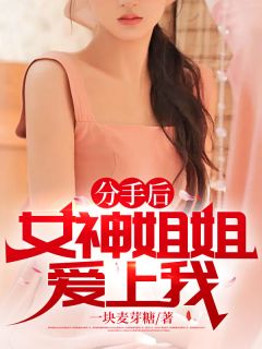 分手后,女神姐姐爱上我