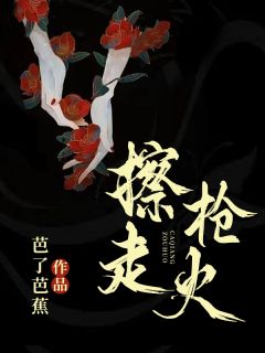 《擦枪走火》小说全文在线阅读 麦冬江璐小说全文