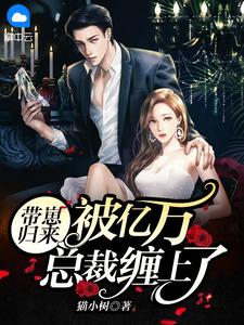 《带崽归来:被亿万总裁缠上了》免费阅读 夏慕晚盛宴小说在线阅读