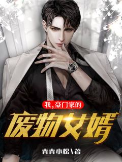 我,豪门家的废物女婿