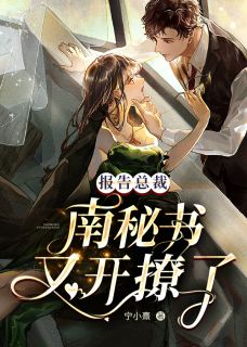 报告总裁:南秘书又开撩了