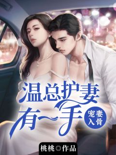 宠妻入骨:温总护妻有一手