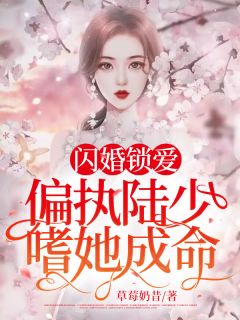 闪婚锁爱:偏执陆少嗜她成命