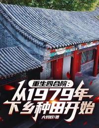 重生四合院:从1979年下乡种田开始