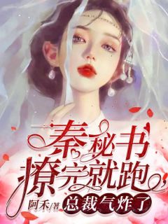 秦秘书撩完就跑，总裁气炸了靳司尧秦娆 靳司尧秦娆小说阅读