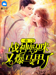 一胎二宝:战神妈咪又爆马甲了