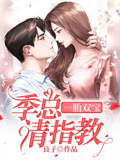一胎双宝:季总请指教